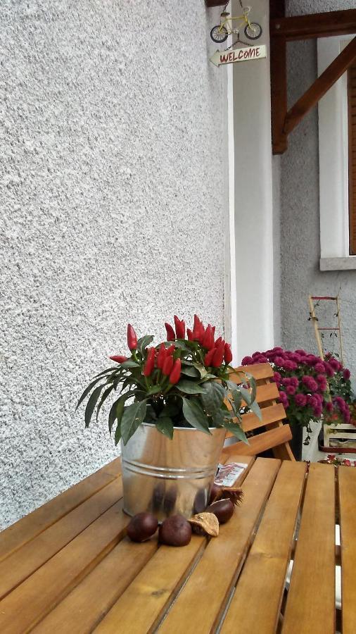 B Apartments - Bike Apartment Тимишоара Экстерьер фото